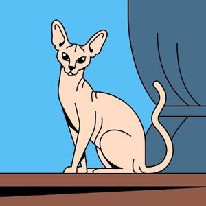 Meet your Posher, Ruth